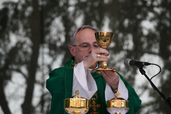 icon m IMG 4734